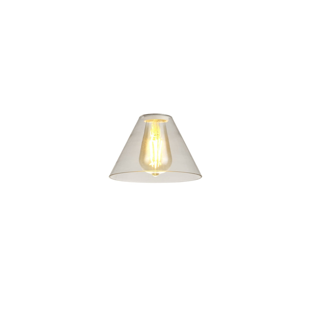 Nelson Lighting NL79649 Apollo Shade Clear