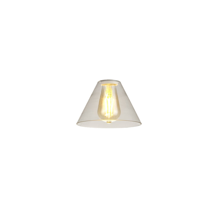 Nelson Lighting NL79649 Apollo Shade Clear