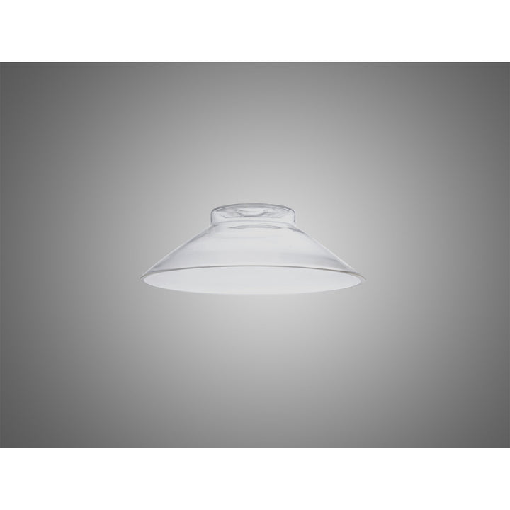 Nelson Lighting NL79659 Apollo Shade Clear