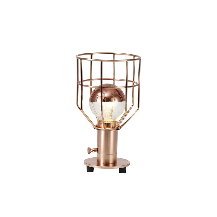 Nelson Lighting NL79719 Apollo Shade Rose Gold