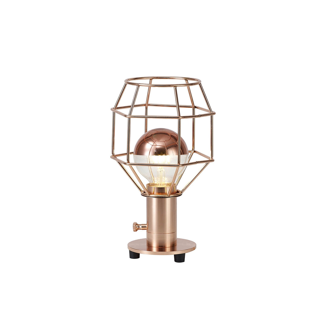 Nelson Lighting NL79899 Apollo Shade Rose Gold