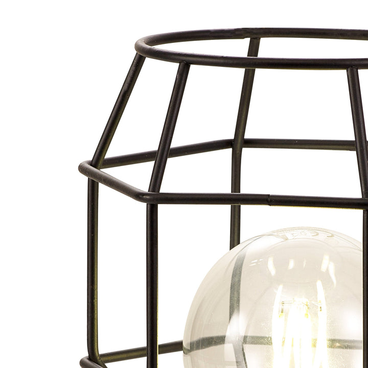 Nelson Lighting NL79949 Apollo Shade Black