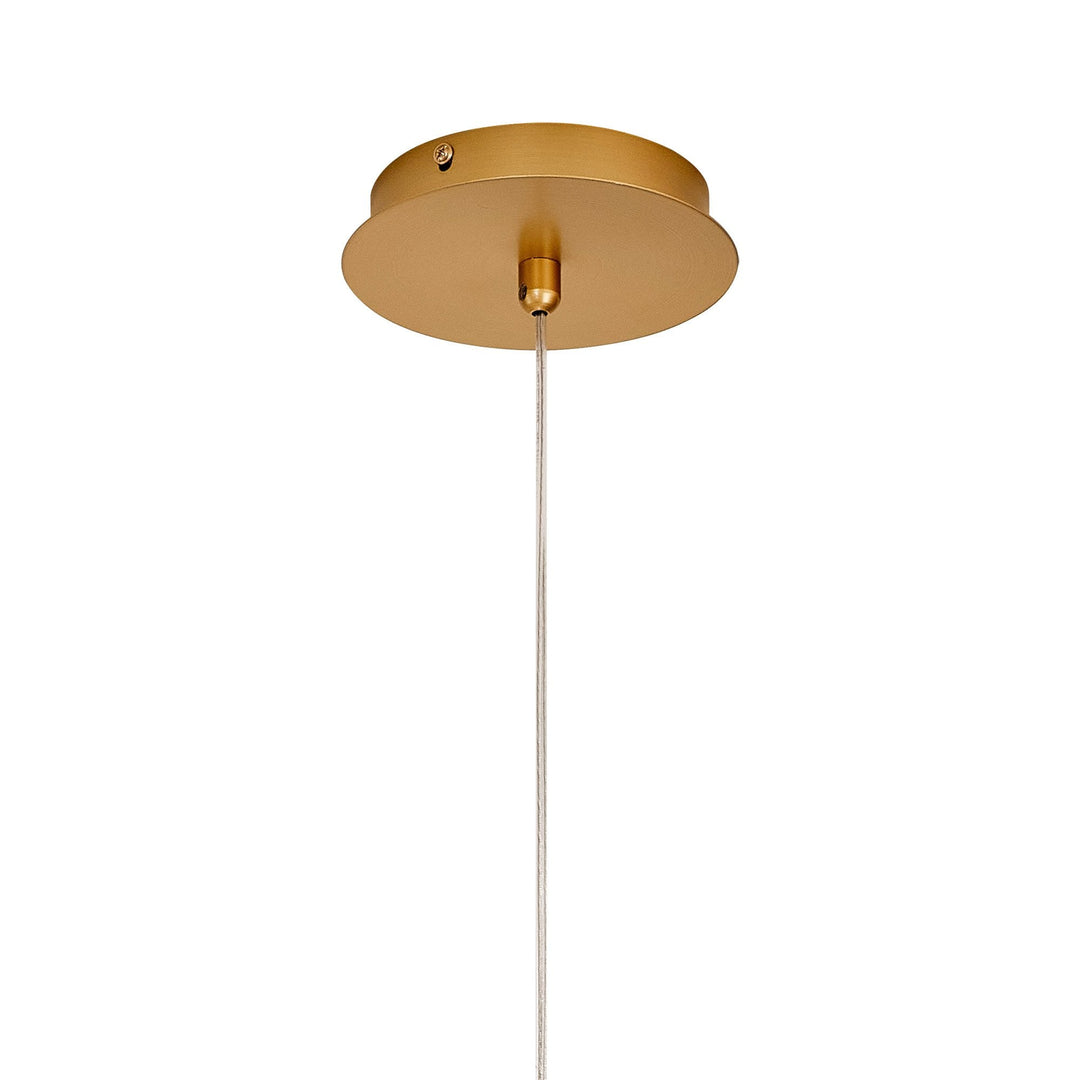 Nelson Lighting NL92529 Bartoo 1 LED Medium Pendant Painted Brushed Gold Clear