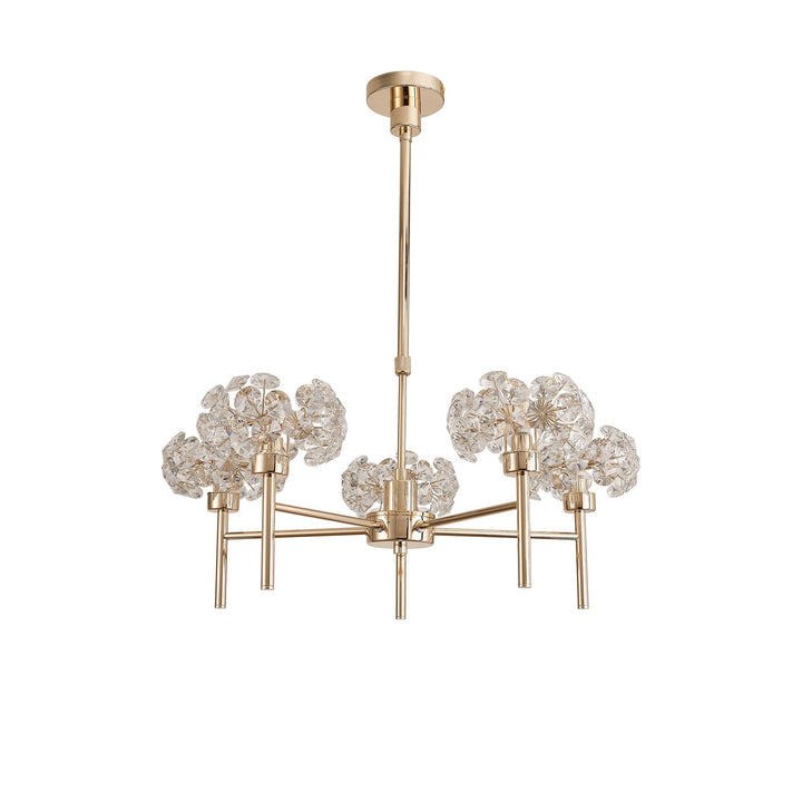 Nelson Lighting NLK08969 Paris 5 Light Pendant/Ceiling Light French Gold Crystal