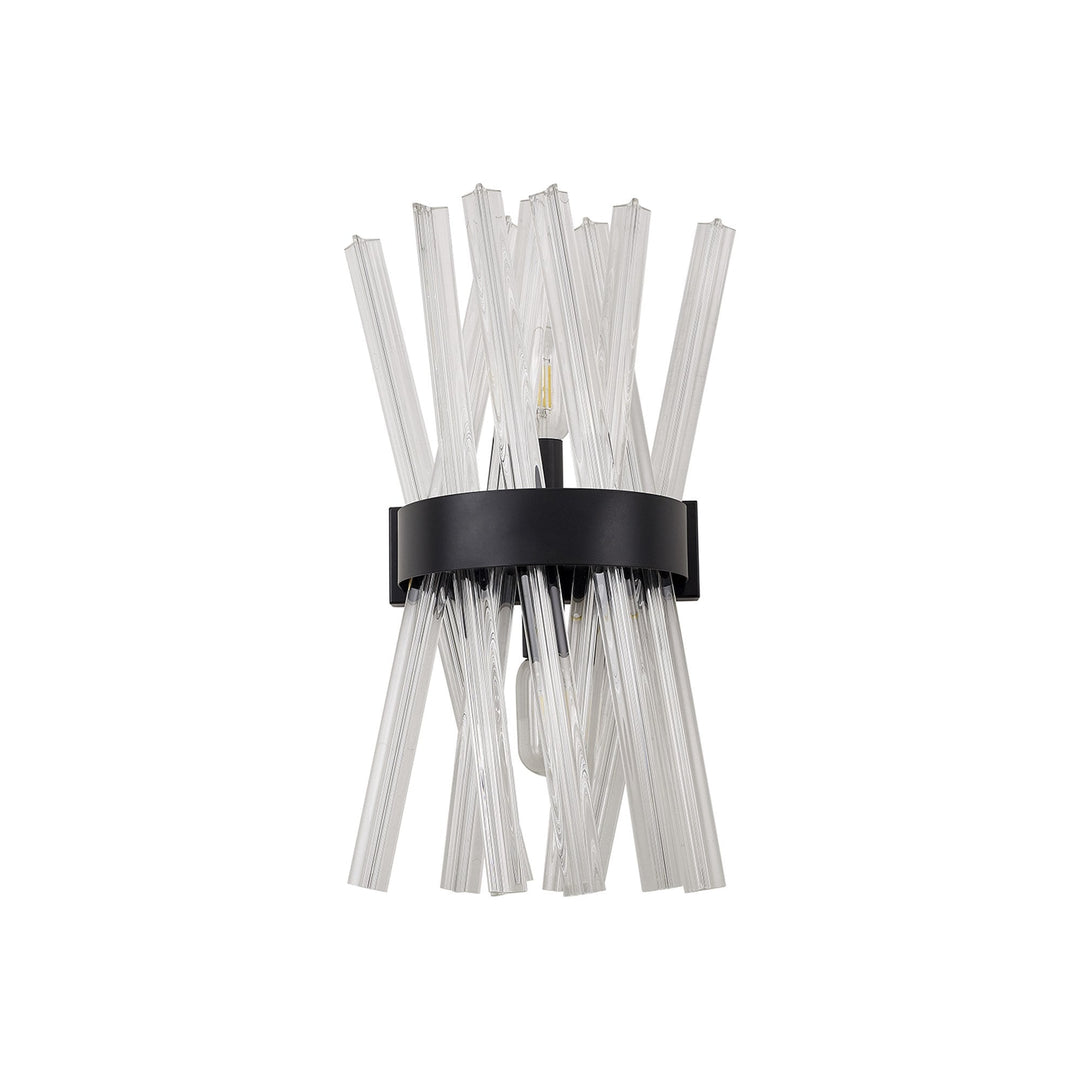 Nelson Lighting NL88129 | Clover 2-Light Wall Fixture | Matt Black & Clear Glass