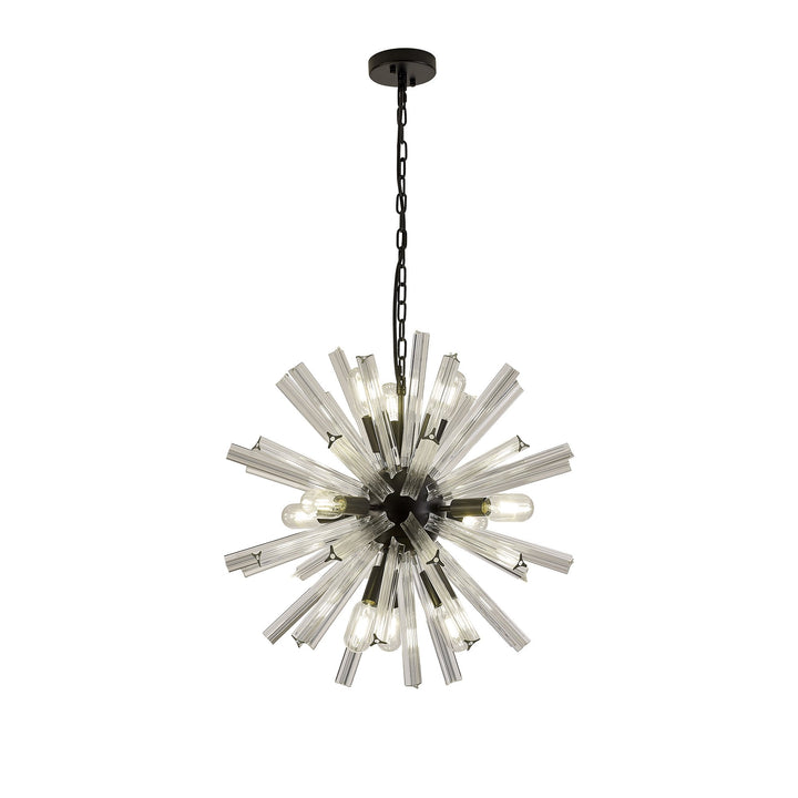 Nelson Lighting NL88219 Clover 10 Light Round Pendant Matt Black Clear