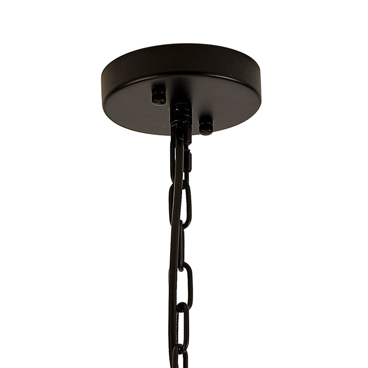 Nelson Lighting NL88219 Clover 10 Light Round Pendant Matt Black Clear