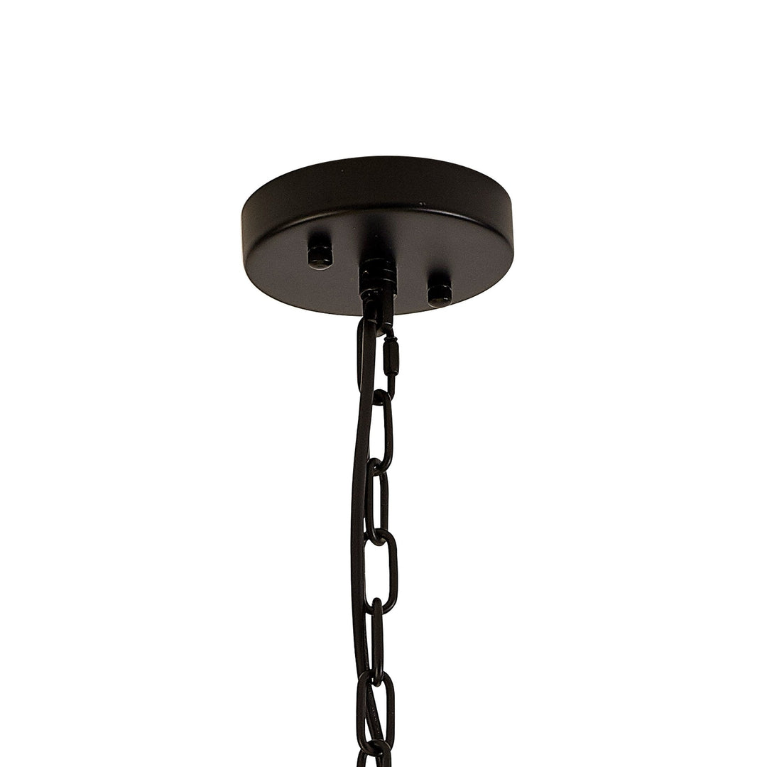 Nelson Lighting NL88229 Clover 10 Light Round Pendant Matt Black Smoke