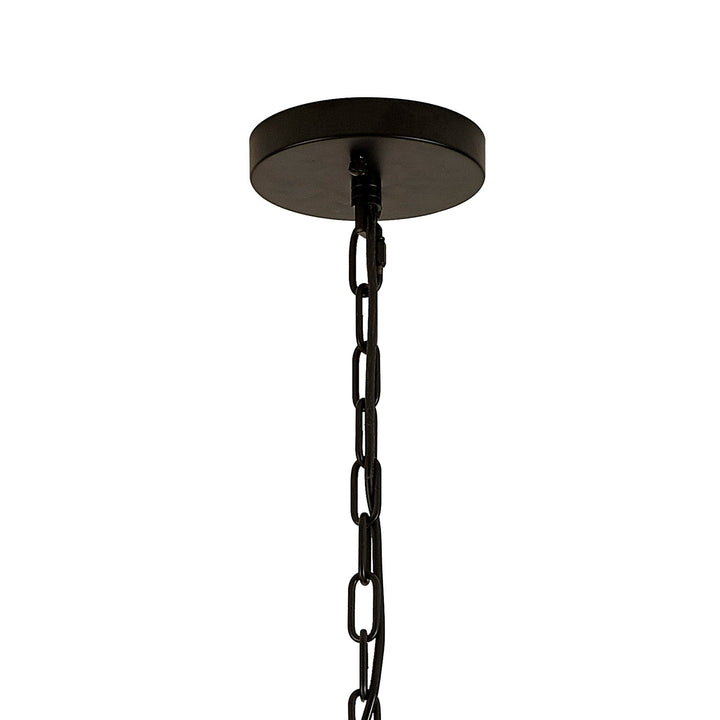 Nelson Lighting NL88249 Clover 16 Light Round Pendant Matt Black Clear