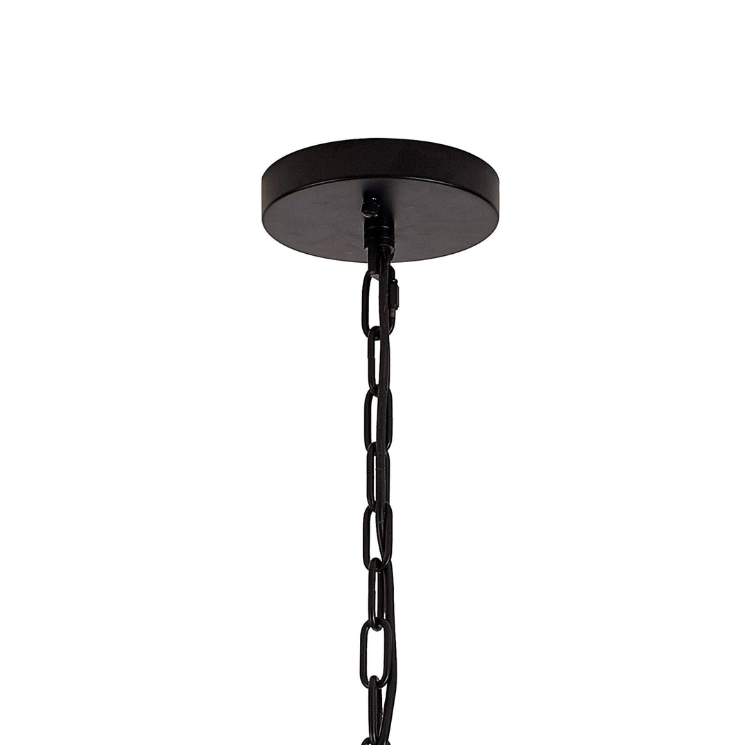 Nelson Lighting NL88269 Clover 16 Light Round Pendant Matt Black Champagne Gold