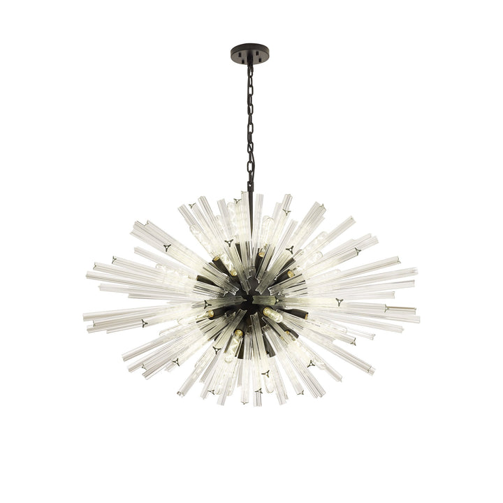 Nelson Lighting NL88309 Clover 32 Light Oval Pendant Matt Black Clear