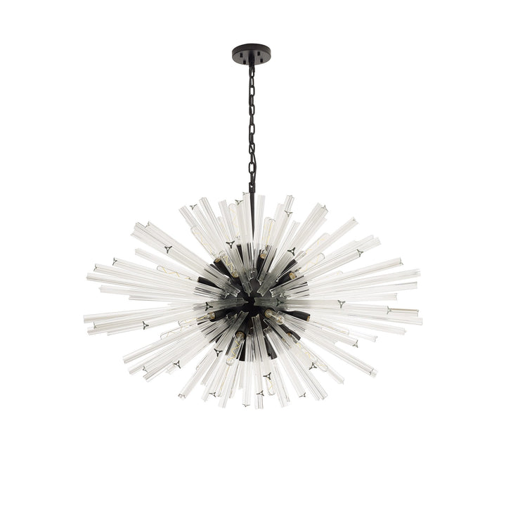 Nelson Lighting NL88309 Clover 32 Light Oval Pendant Matt Black Clear