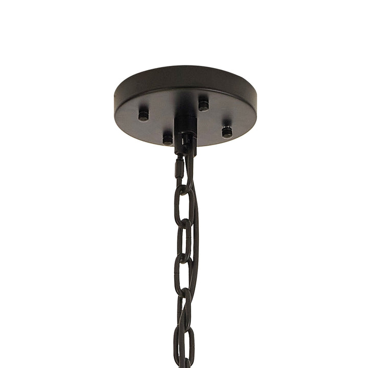 Nelson Lighting NL88349 Clover 32 Light Oval Pendant Matt Black Smoke