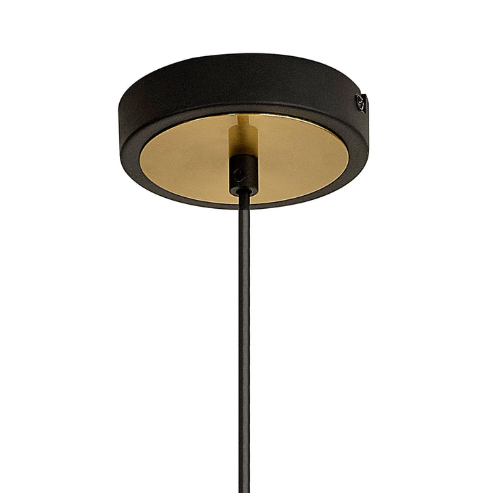 Nelson Lighting NL93049 Dadura 1 Light Pendant Black Gold