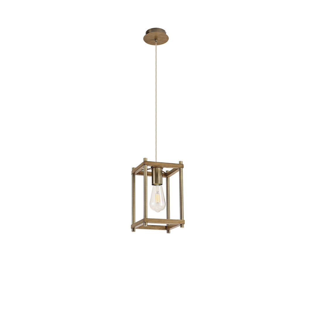 Nelson Lighting NL92579 Icart 1 Light Pendant Medium Oak Antique Brass