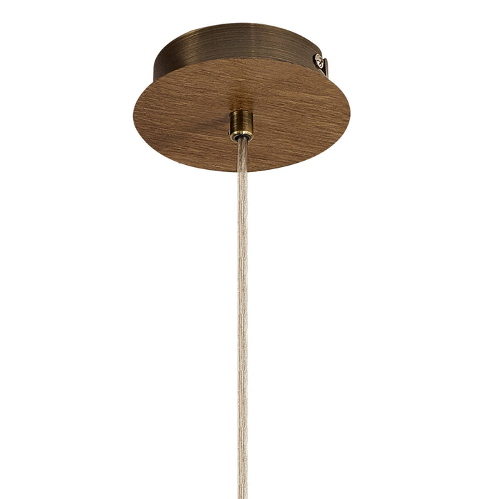 Nelson Lighting NL92579 Icart 1 Light Pendant Medium Oak Antique Brass