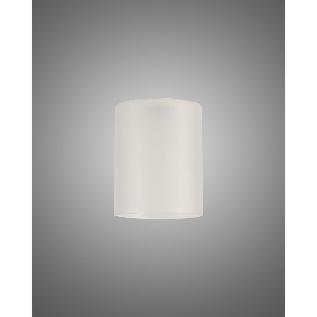 Nelson Lighting NL76199 Iona Shade Frosted