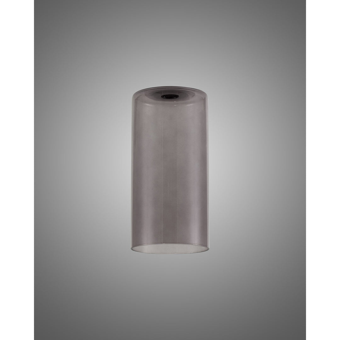 Nelson Lighting NL76299 Iona Shade Smoked