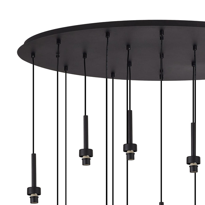 Nelson Lighting NL90519 Iona 19 Light Oval Pendant Satin Black