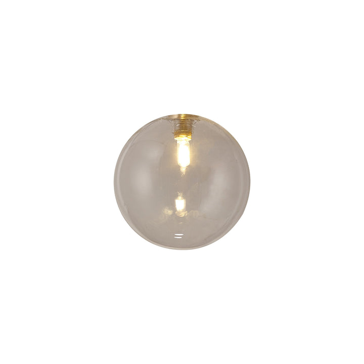 Nelson Lighting NL90729 Iona Shade Clear