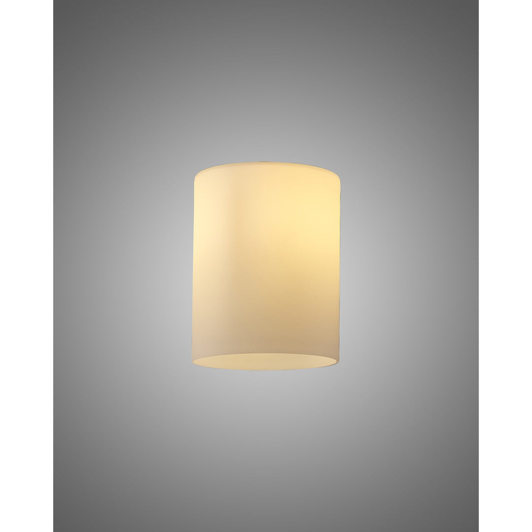 Nelson Lighting NL91019 Iona Shade Opal