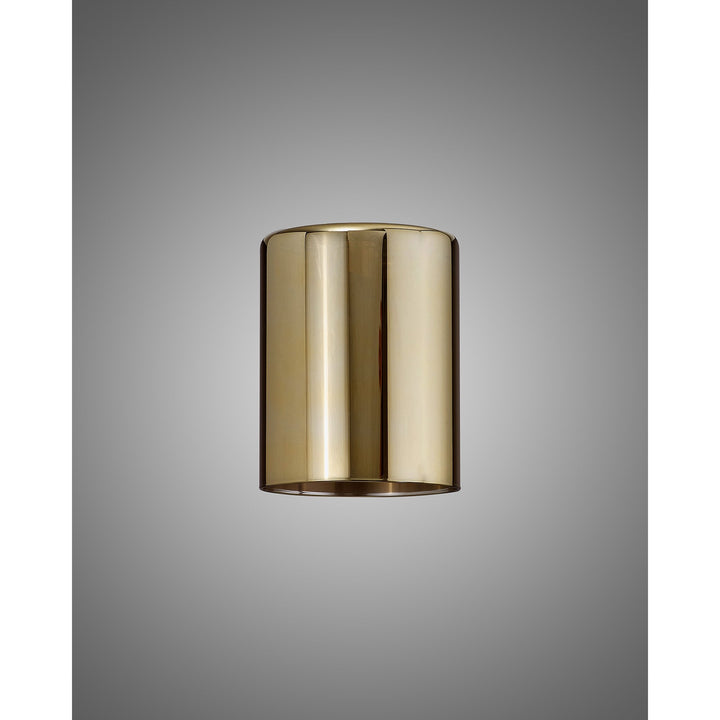 Nelson Lighting NL91809 Iona Shade Gold