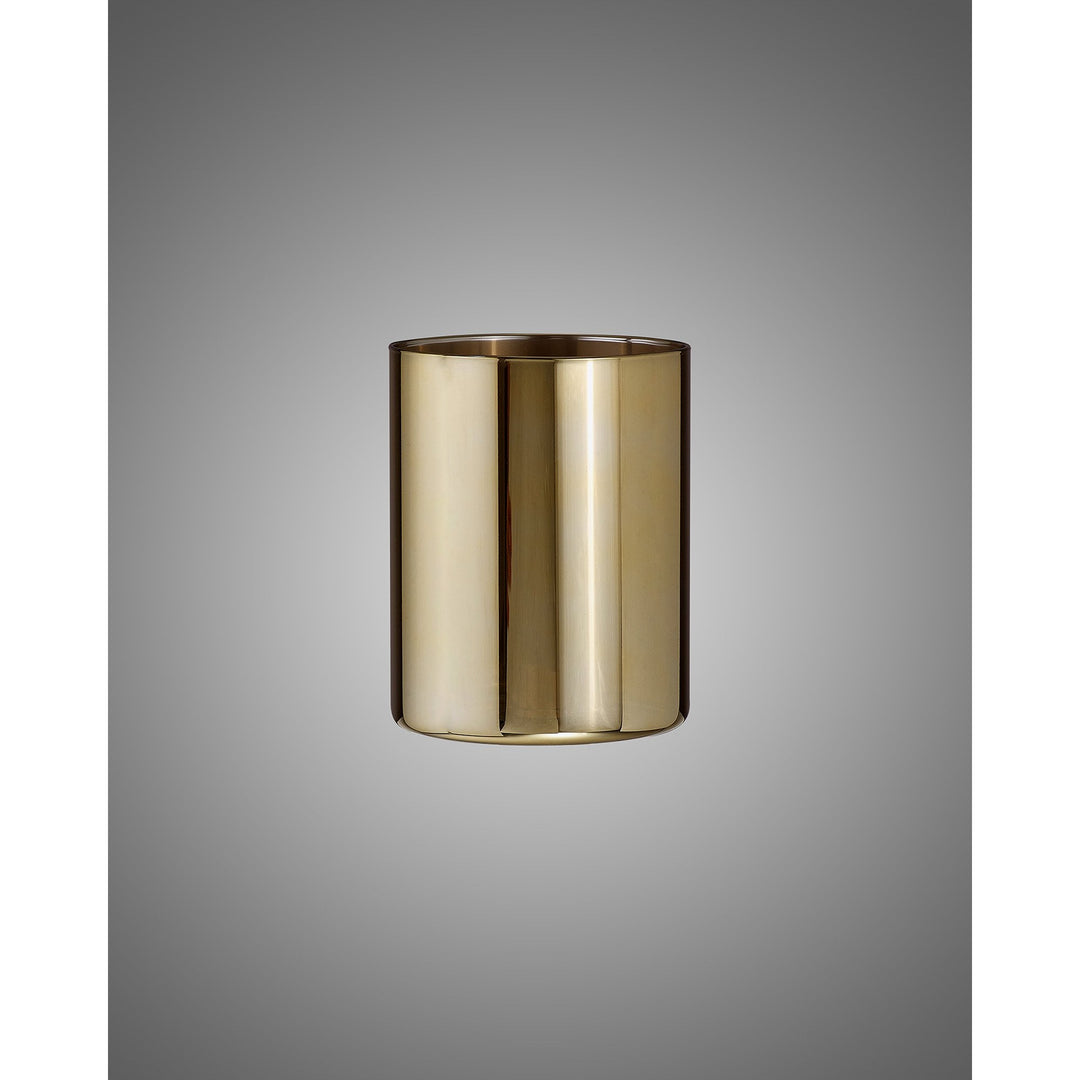 Nelson Lighting NL91809 Iona Shade Gold