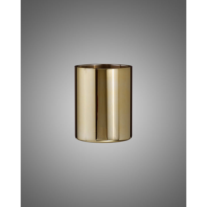 Nelson Lighting NL91809 Iona Shade Gold