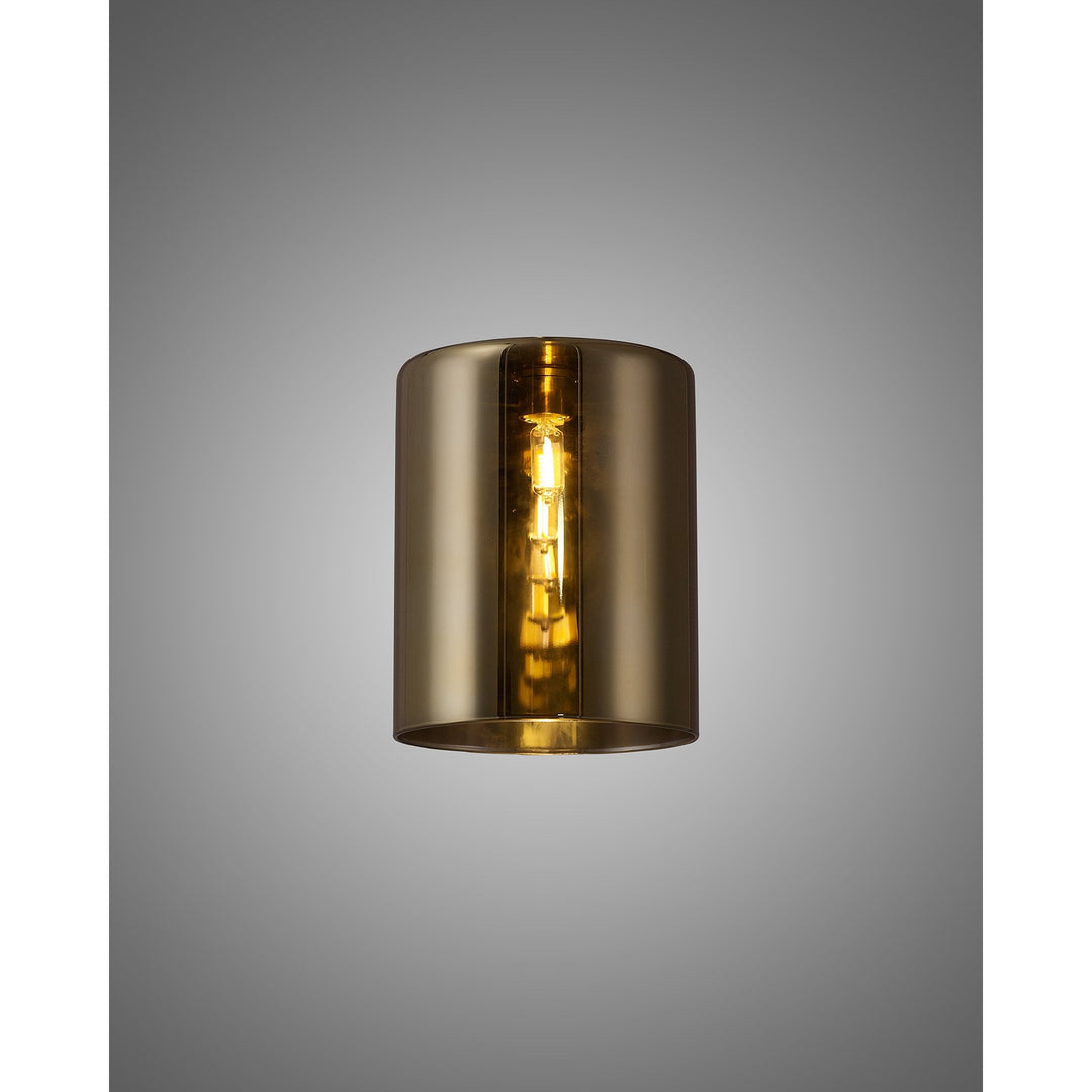 Nelson Lighting NL91809 Iona Shade Gold