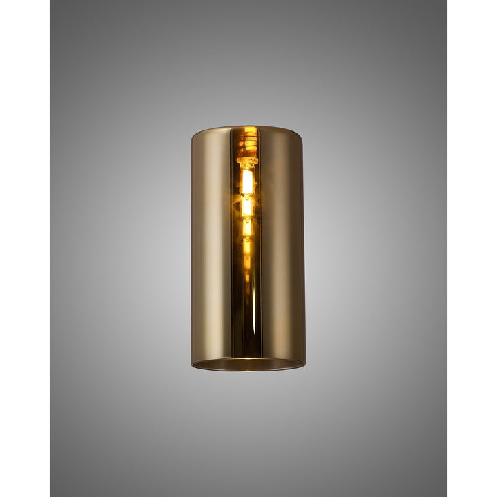 Nelson Lighting NL91819 Iona Shade Gold