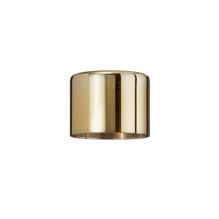 Nelson Lighting NL91829 Iona Shade Gold