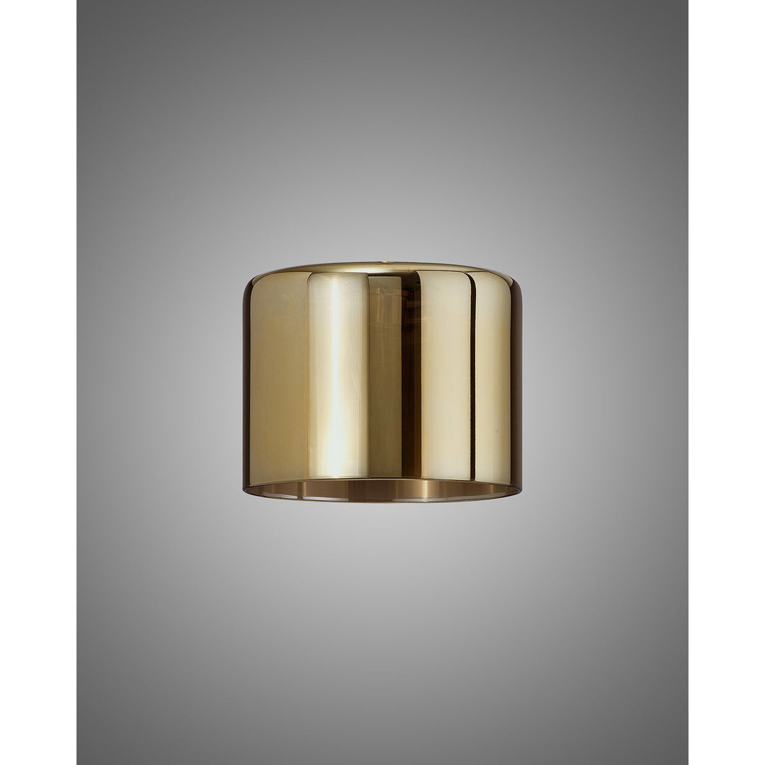 Nelson Lighting NL91829 Iona Shade Gold