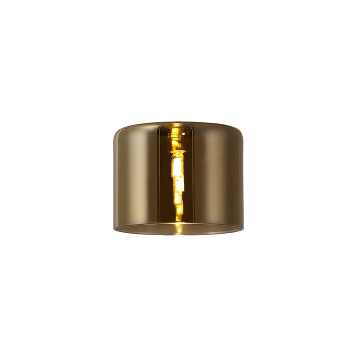 Nelson Lighting NL91829 Iona Shade Gold