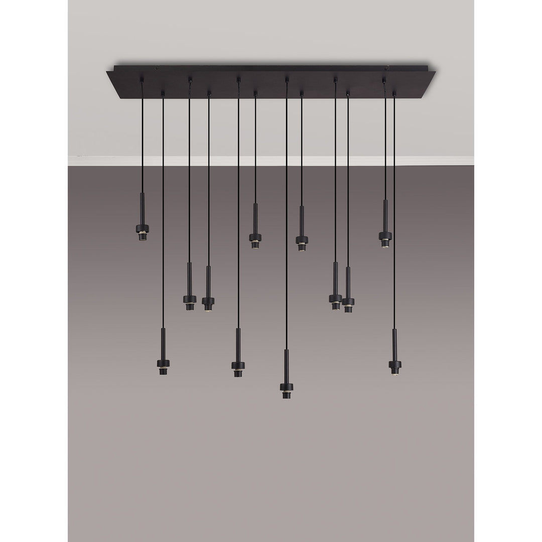 Nelson Lighting NL92649 Iona 12 Light Linear Pendant Satin Black