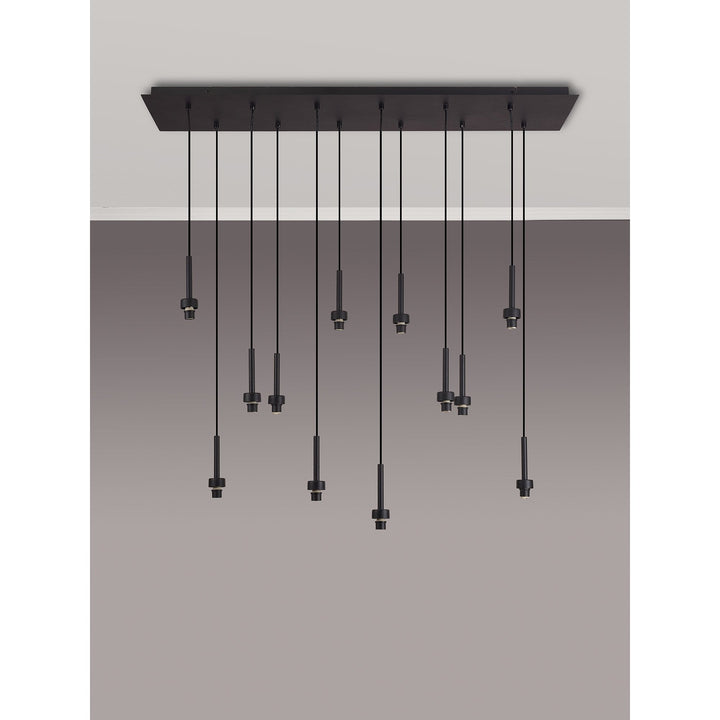 Nelson Lighting NL92649 Iona 12 Light Linear Pendant Satin Black