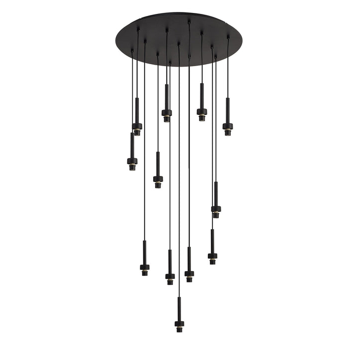 Nelson Lighting NL92659 Iona 13 Light Round Pendant Satin Black