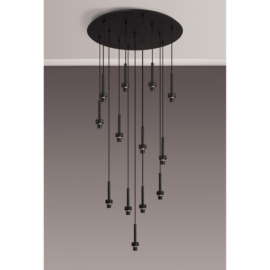 Nelson Lighting NL92659 Iona 13 Light Round Pendant Satin Black