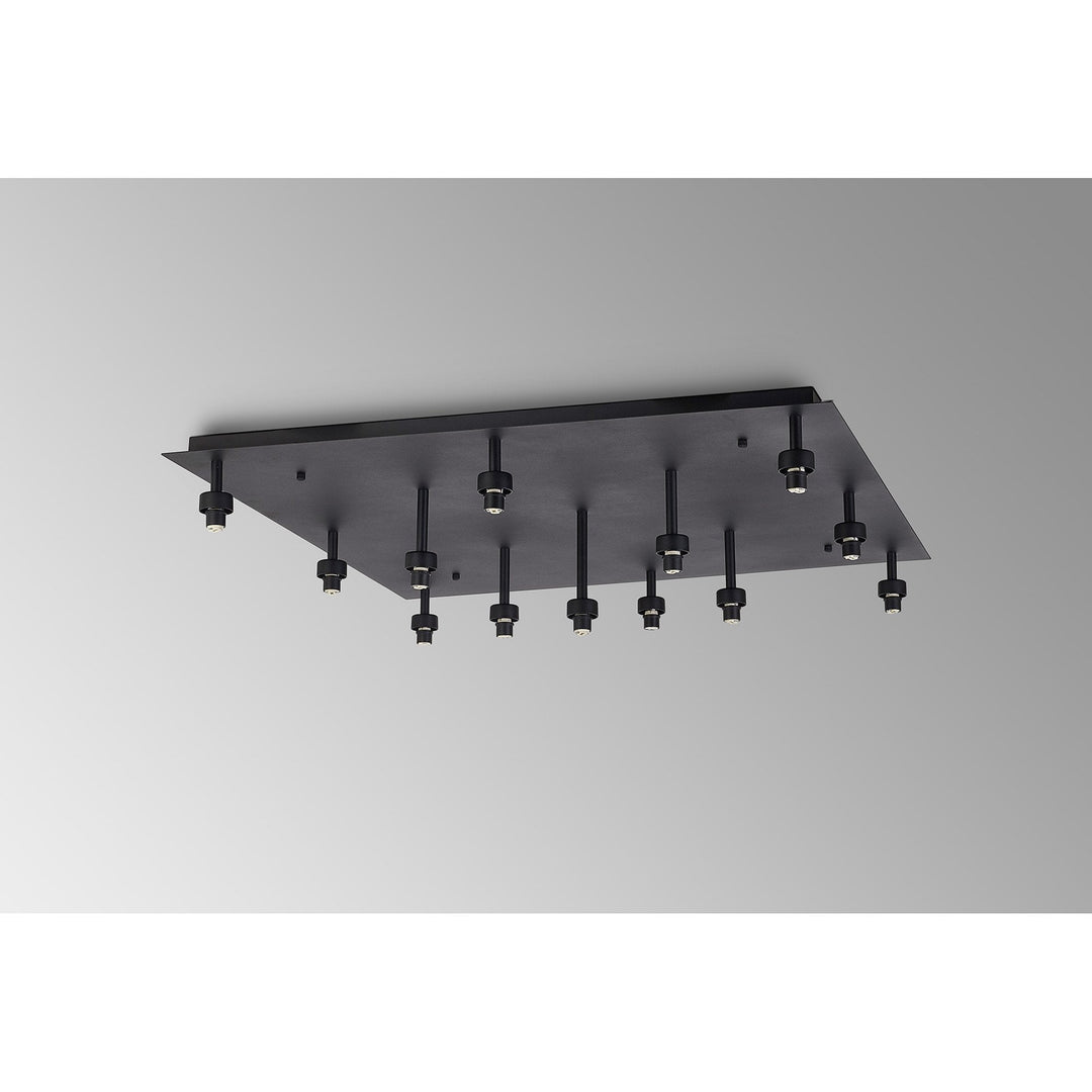 Nelson Lighting NL92809 Iona 13 Light Flush Ceiling Light Satin Black