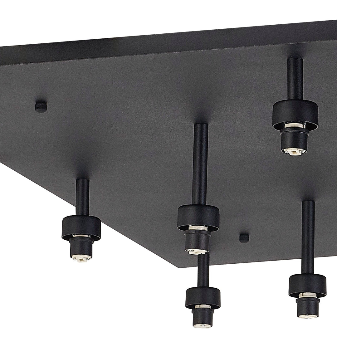 Nelson Lighting NL92809 Iona 13 Light Flush Ceiling Light Satin Black