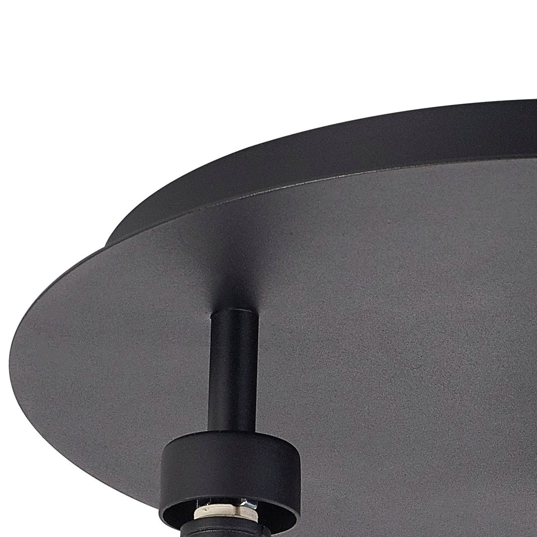 Nelson Lighting NL92829 Iona 3 Light Flush Ceiling Light Satin Black