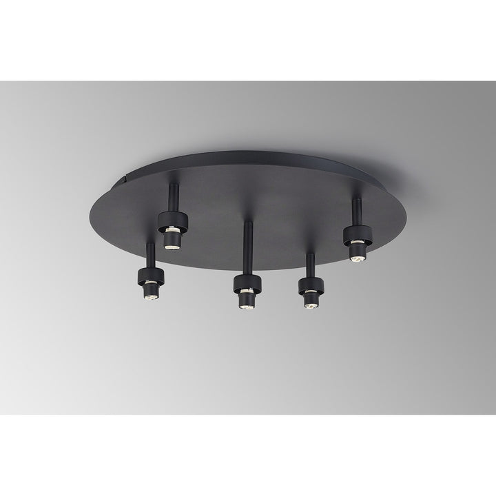 Nelson Lighting NL92869 Iona 5 Light Flush Ceiling Light Satin Black