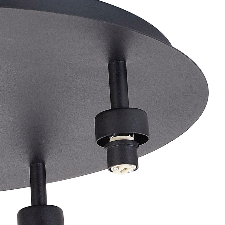 Nelson Lighting NL92869 Iona 5 Light Flush Ceiling Light Satin Black