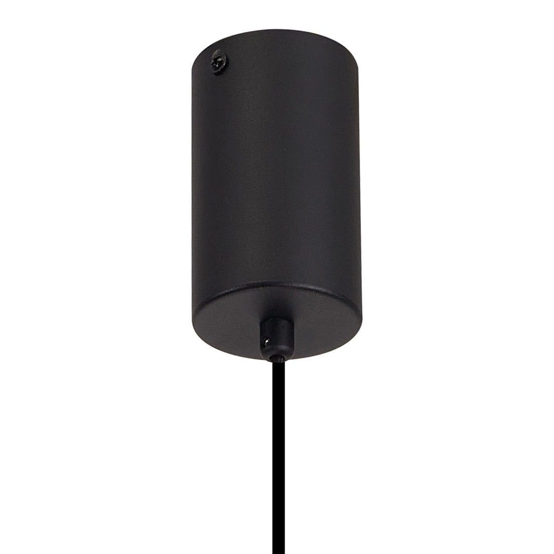 Nelson Lighting NL92879 Iona 1 Light Pendant Satin Black