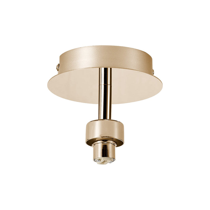 Nelson Lighting NL92889 Iona 1 Light Flush Ceiling Light French Gold