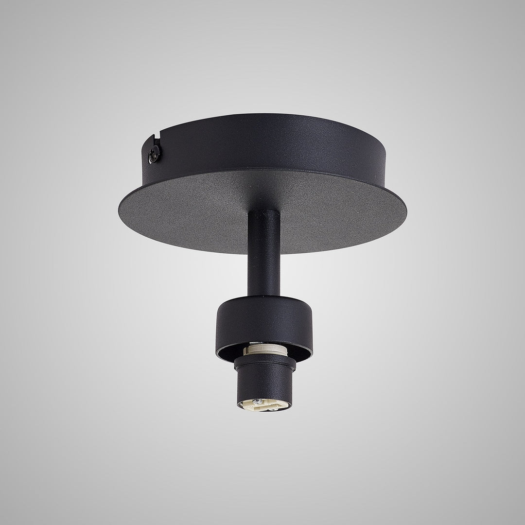 Nelson Lighting NL92899 Iona 1 Light Flush Ceiling Light Satin Black