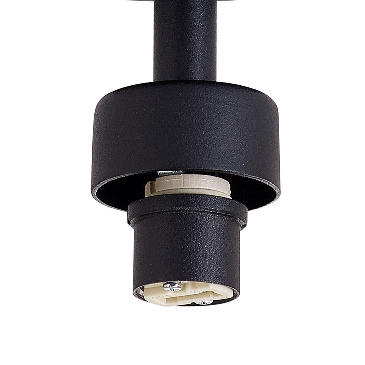 Nelson Lighting NL92899 Iona 1 Light Flush Ceiling Light Satin Black