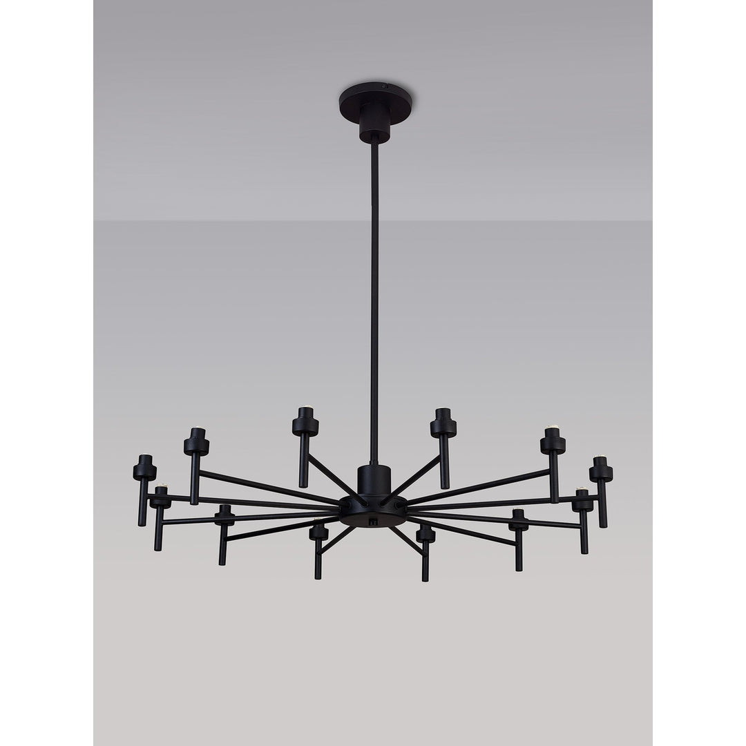 Nelson Lighting NL92969 Iona 12 Light Pendant/Ceiling Light Satin Black