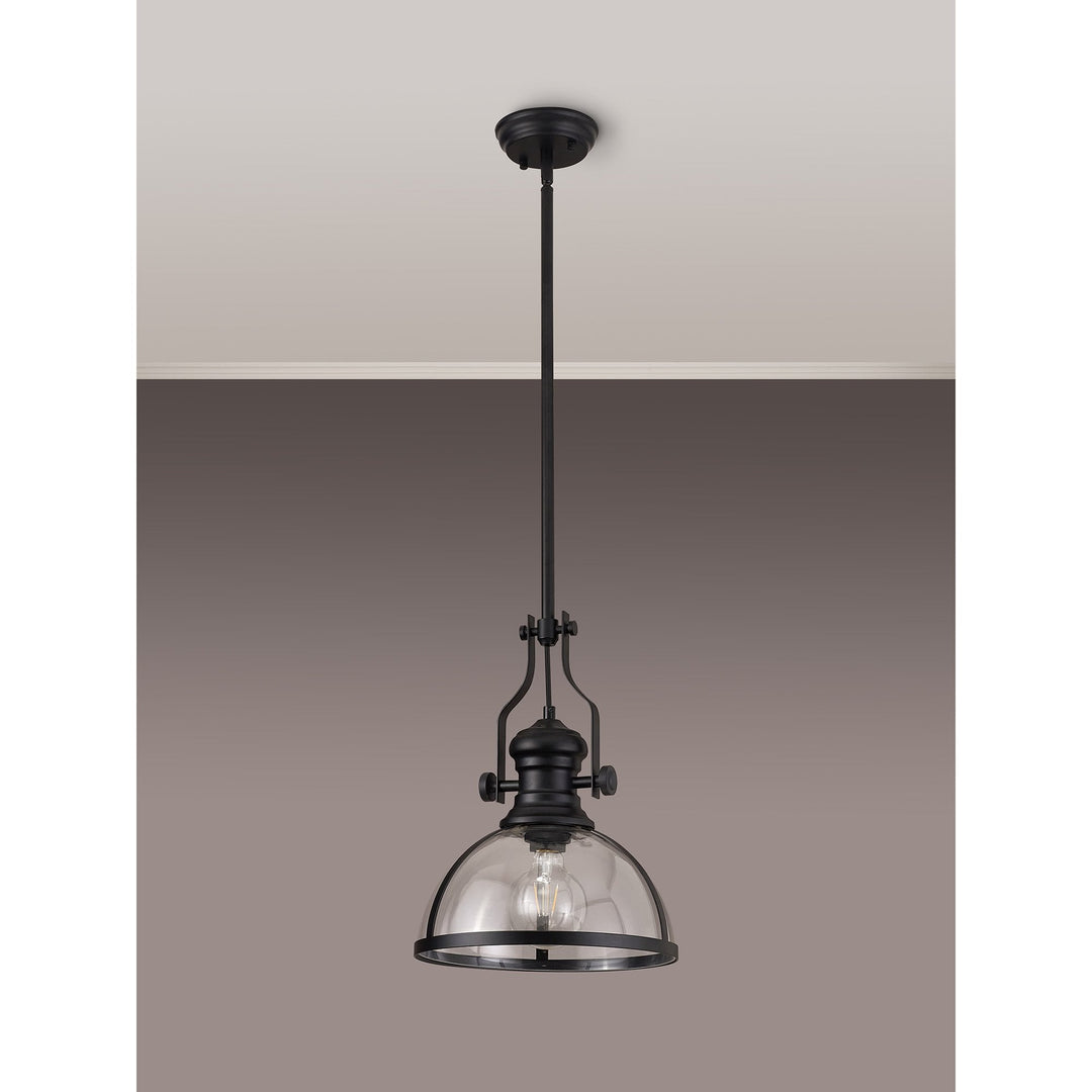 Nelson Lighting NL7262/BL9 Louis 1 Light Pendant Matt Black Clear