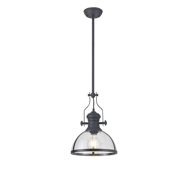 Nelson Lighting NL7262/GR9 Louis 1 Light Pendant Graphite Clear