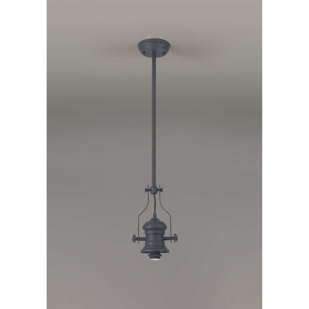 Nelson Lighting NL87369 Louis 1 Light Pendant Graphite